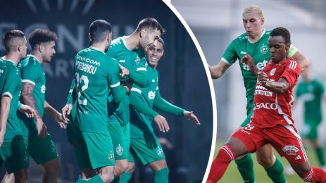 Лудогорец Ботошани