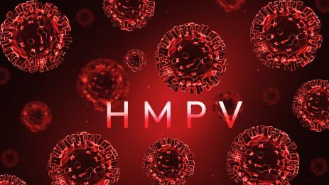 метапневмовирус