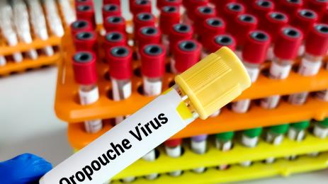 вирус на ленивеца