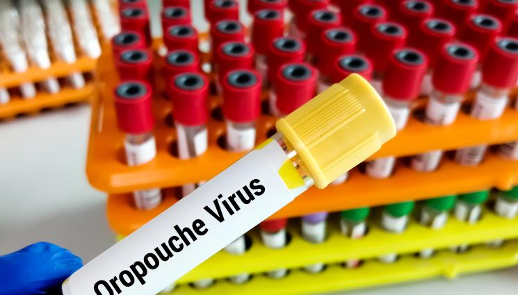 вирус на ленивеца - ЗДРАВЕ с Телеграф: Вирусът на ленивеца изненада Европа