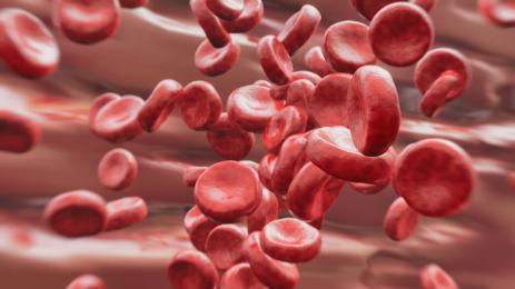 хемоглобин