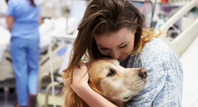 Голдън ретривър