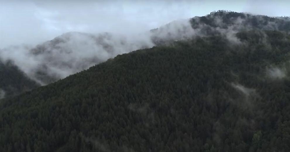 Какво се случи в нощта, в която трима непълнолетни мигранти