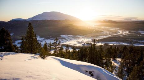 снежна планина