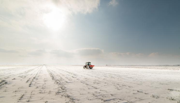 нива - Агро Телеграф: Снежна пелена ще предпази житните