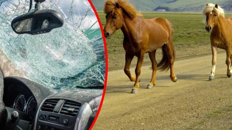 коне катастрофа