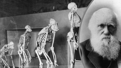 Чарлз Дарвин