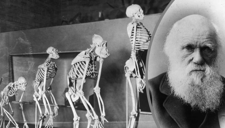 Чарлз Дарвин - ВАНДАЛИ В ДЕЙСТВИЕ: Екоактивисти опорочиха гроба на Чарлз Дарвин! (ВИДЕО)