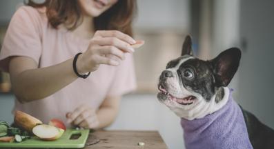 куче ябълка