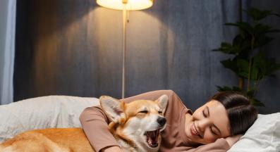 куче се прозява