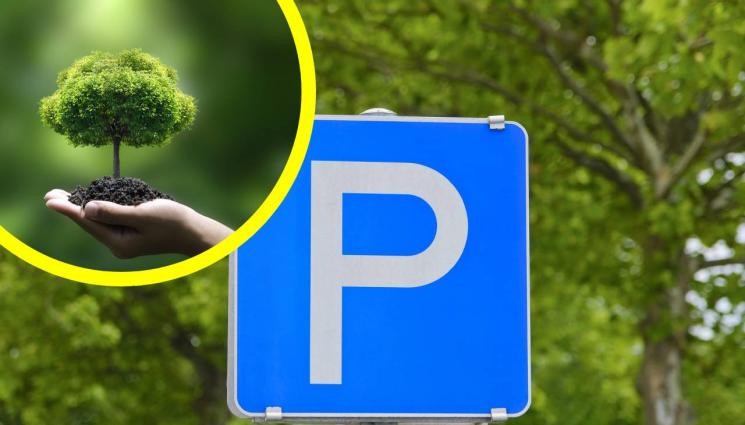 паркиране - ДО ТАМ Я ДОКАРАХМЕ: Шофьорка счупи дръвчета, за да си освободи място за паркиране! (ВИДЕО)