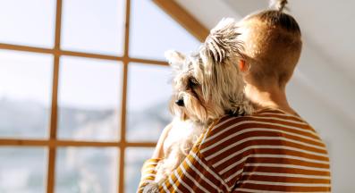 куче човек прегръдка