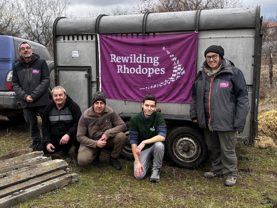 морски елени в Родопите