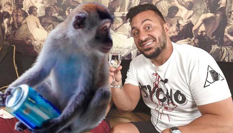 Коцето Константин - НОВ АВЕР ЗА МАСА: Коцето надига чашката с... маймуна! (СНИМКИ+ВИДЕО)