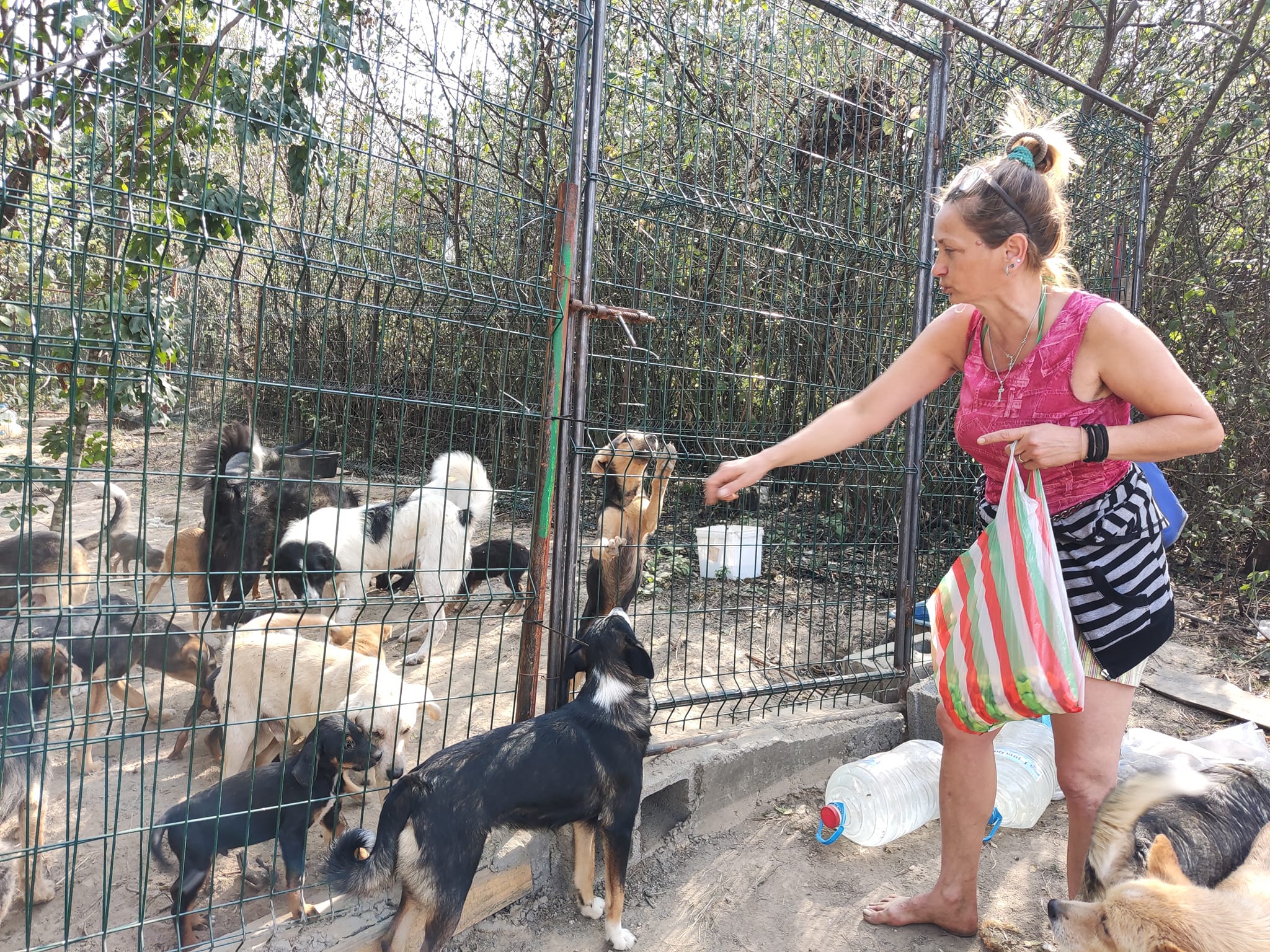 Красимира Спасова