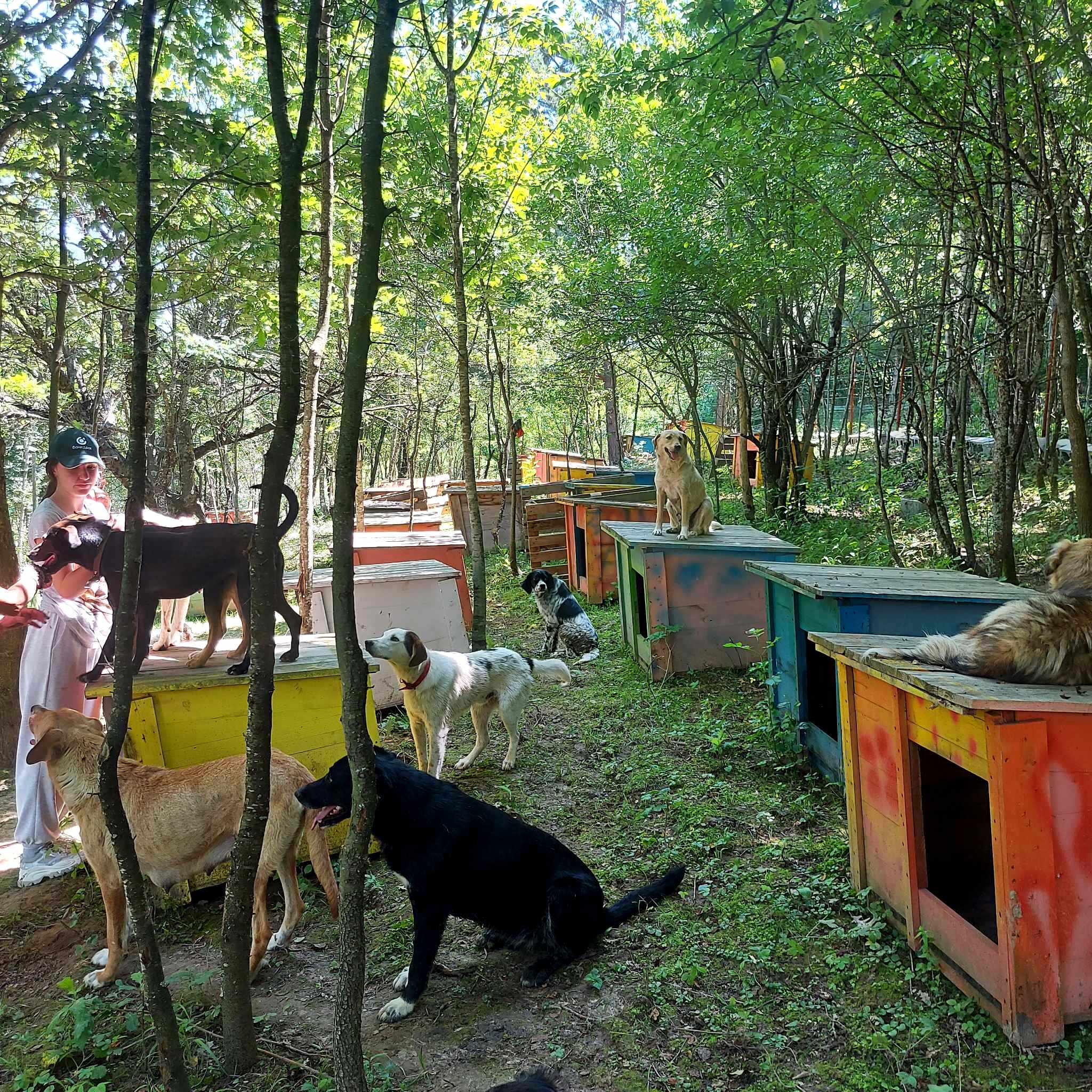 Красимира Спасова