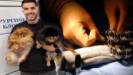 операция домашни любимци