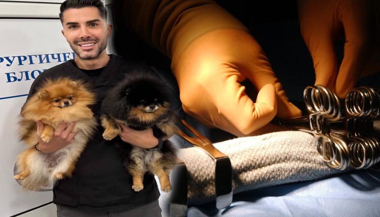 операция домашни любимци - КАКВО ДА ЗНАЕМ за домашните любимци преди операция?