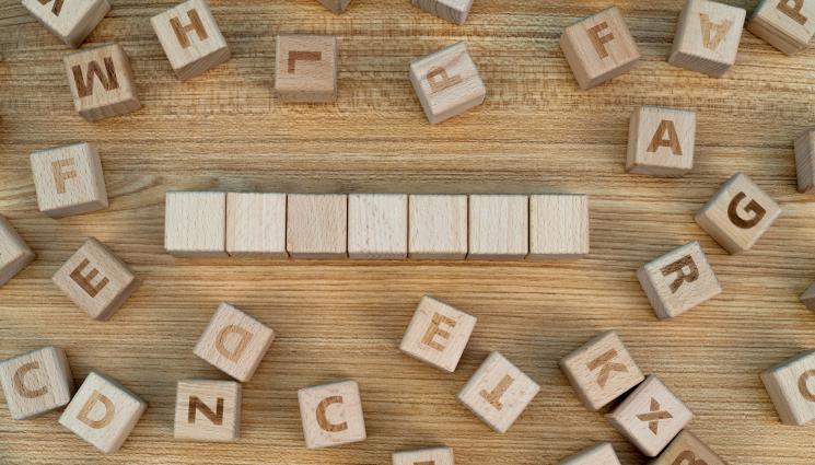 думи - „КАК СЕ ПИШЕ”: Кои са думите на 2024-та?