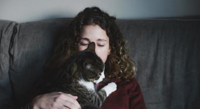 Домашна котка