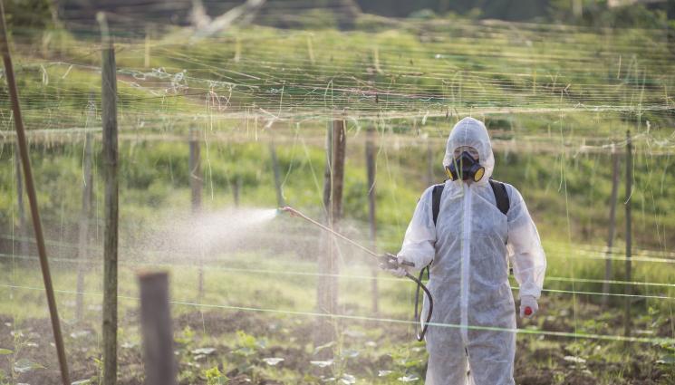 пръскане - Агро Телеграф: Откриха плевел, устойчив на глифозат
