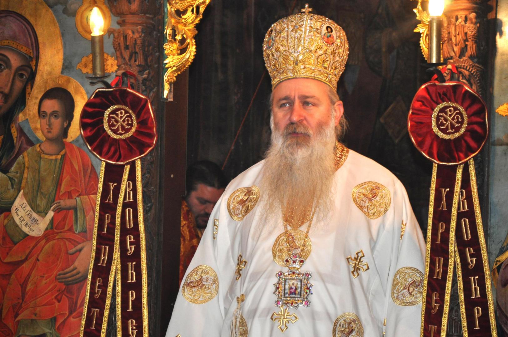 видински митрополит