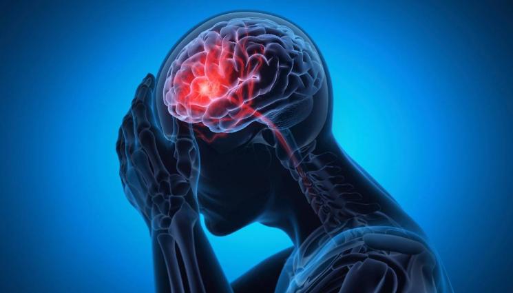 мозък - ГОВОРЯТ СПЕЦИАЛИСТИТЕ: Кога и как да чистим мозъка си?!