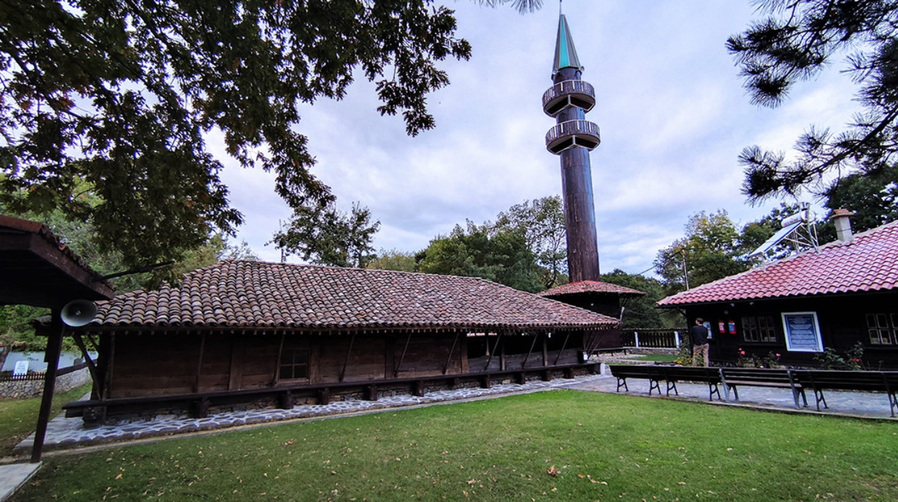 Родопска гъсеница