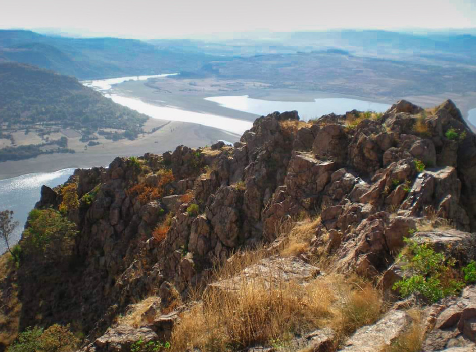 Родопска гъсеница