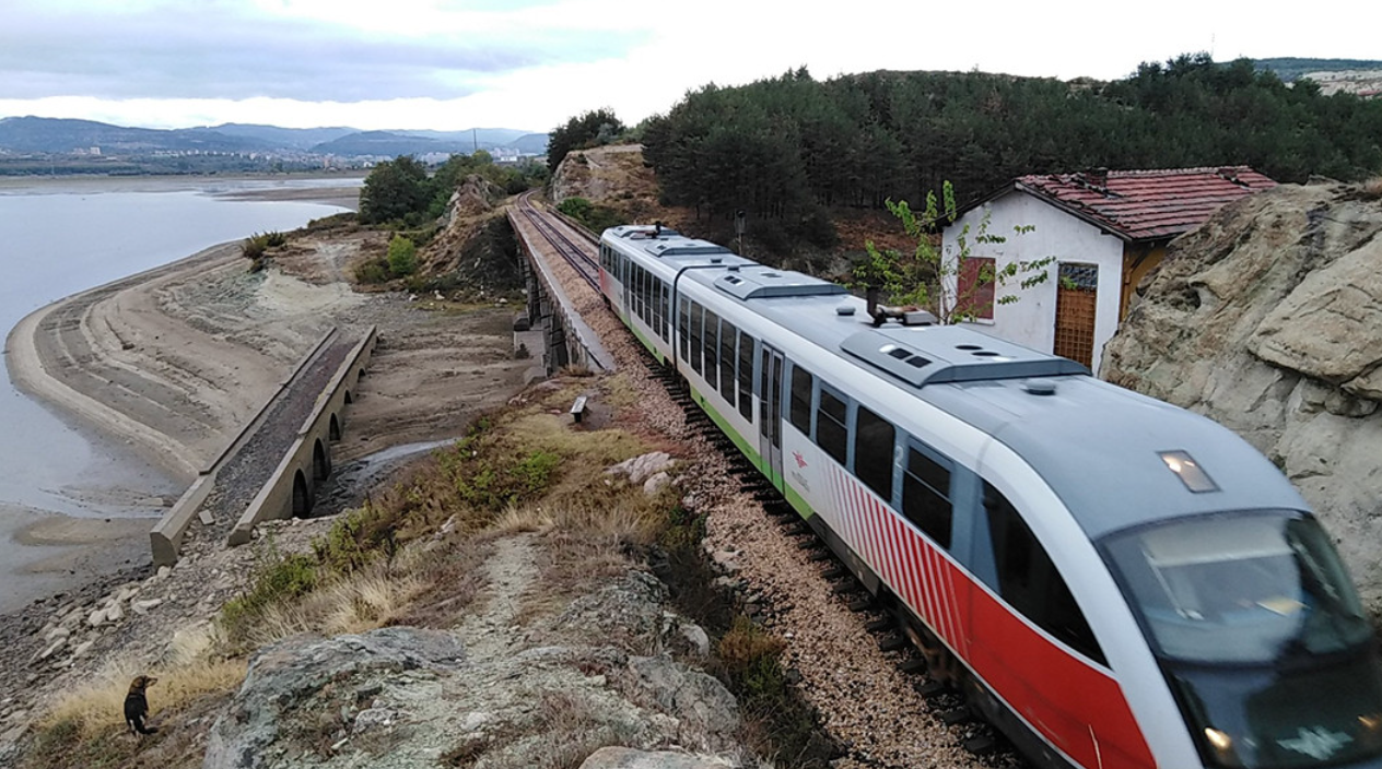 Родопска гъсеница