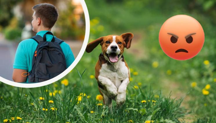 куче - ЖЕСТОКОСТ: Садист впряга кученце да го тегли! (СНИМКА)