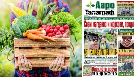 Агро Телеграф