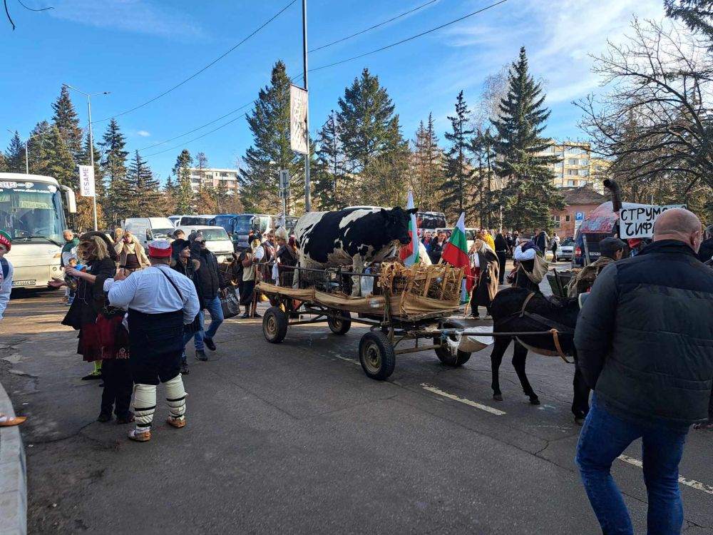 Фестивалът Сурва