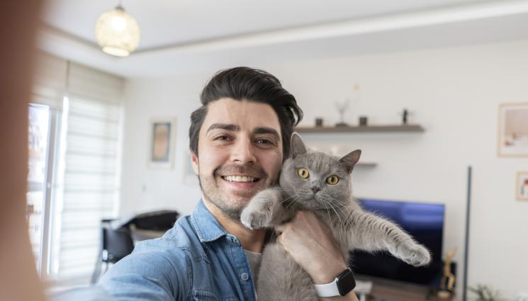 котарак - СЛЕД УЛТИМАТУМ: Мъж избра да спи с котарака си, вместо с гаджето