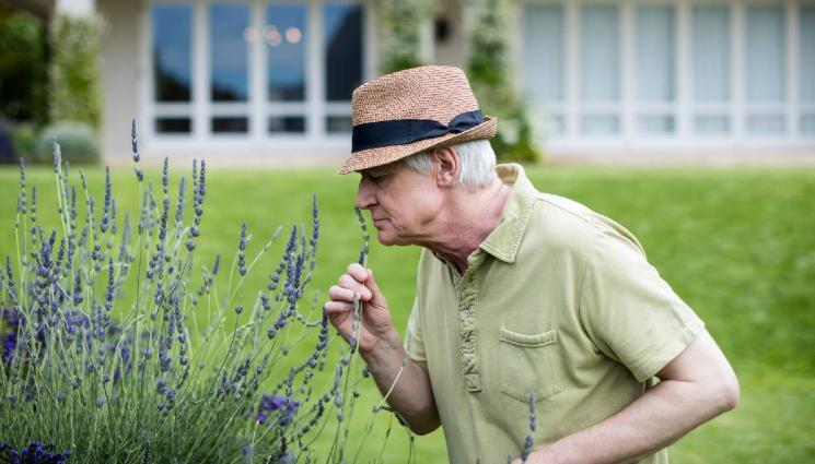 обоняние - 5 невероятни факта за вашето обоняние