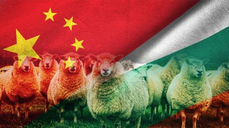 китай българия овце