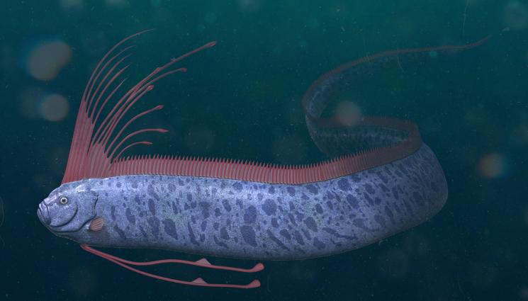 giant oarfish - Рибата на Страшния съд изплува!