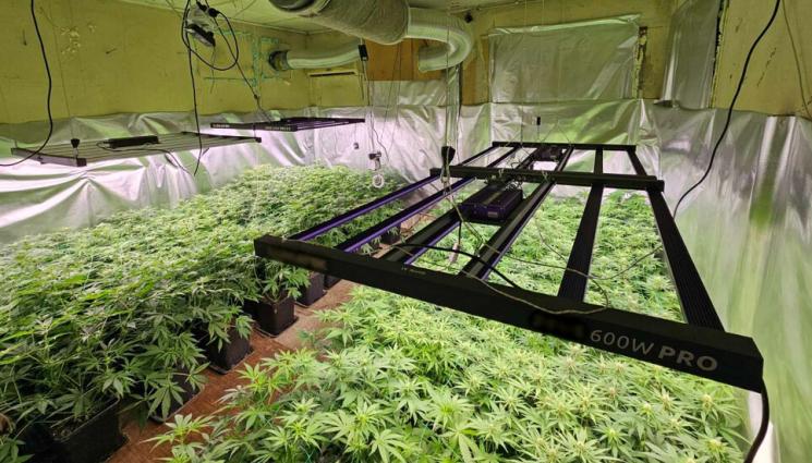 канабис - Разбиха нарколаборатория в Пазарджик! (СНИМКИ)