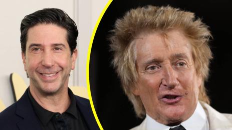 Дейвид Шуимър Род Стюарт