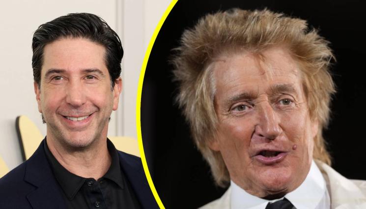 Дейвид Шуимър Род Стюарт - Дейвид Шуимър връчил призовка на Род Стюарт!