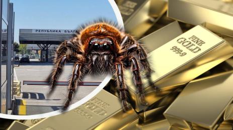 КГПП Капитан Андреево злато и паяк