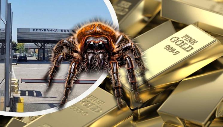 КГПП Капитан Андреево злато и паяк - КОЛКО ЛИ Е УСПЯЛО ДА МИНЕ: Спипаха над 200 килограма злато на