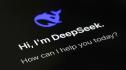 DeepSeek