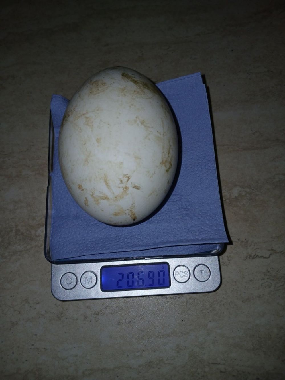 лешояди яйца Стара Загора