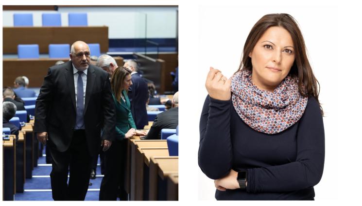 Социологът Елена Дариева - Социологът Елена Дариева пред 