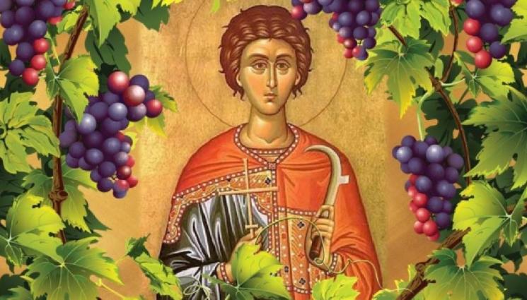 чудеса и вяра - ЧУДЕСА И ВЯРА: Лозари и стоматолози черпят през февруари