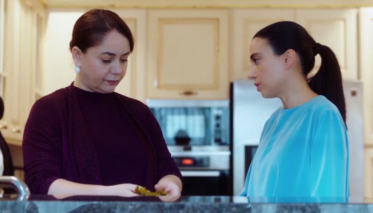 в кухнята - ЗЛАТНО ВРЕМЕ: В кухнята на „Шербет от боровинки“: Кюфтета със сос за разкош (РЕЦЕПТА)