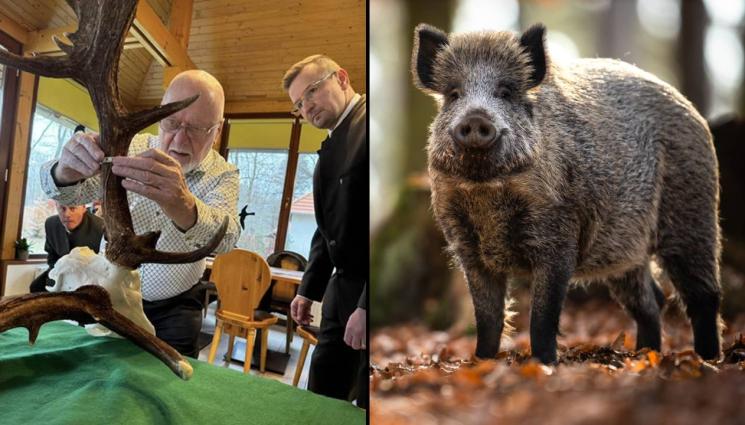 d - ЗАНЯТИЕ ЗА АРИСТОКРАТИ: Ловът – от древността до модерността!