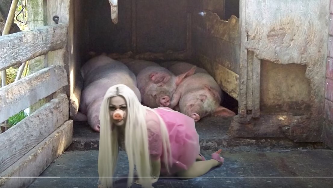 близалката като прасе