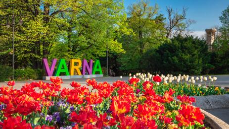 варна табела